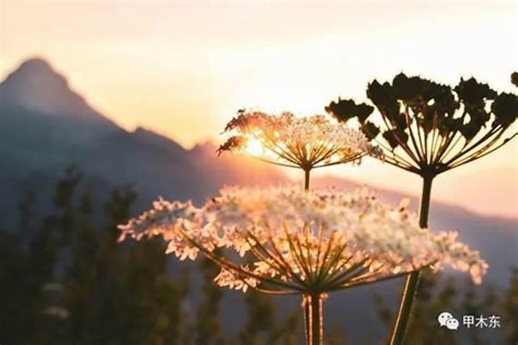 风水杀师地的意思