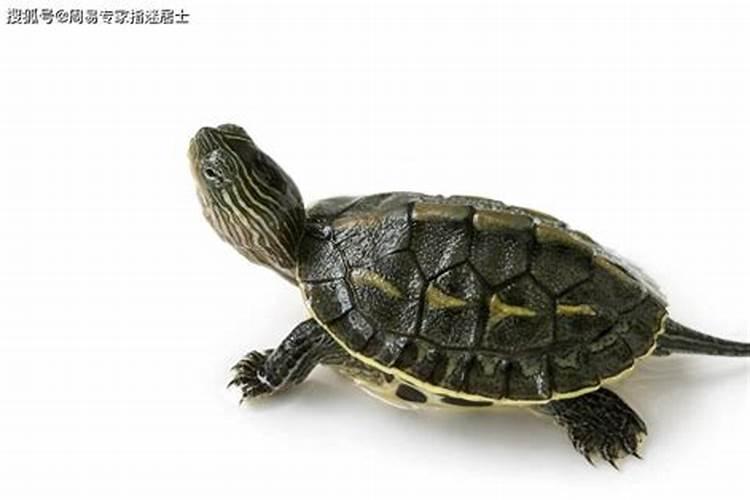 三僚村最有名的风水师