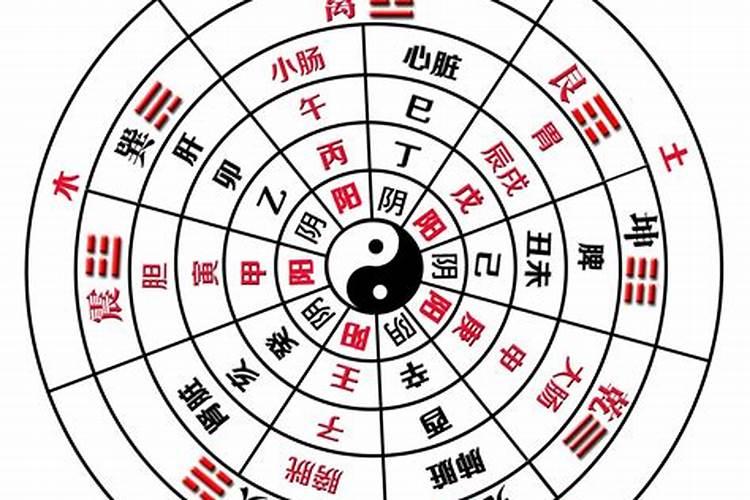 怎样从风水上补肾