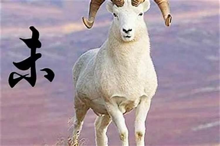 属羊客厅摆什么最旺财