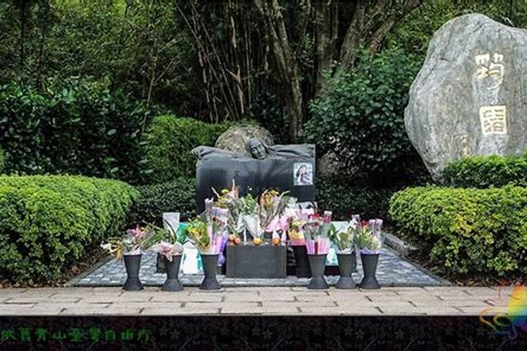 杜鹃花的风水寓意和摆放
