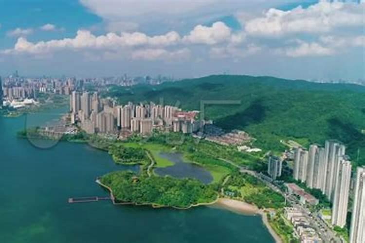 老人火化以后什么时候可以在家上香