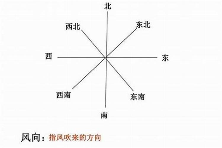 别墅后院种什么树最旺宅
