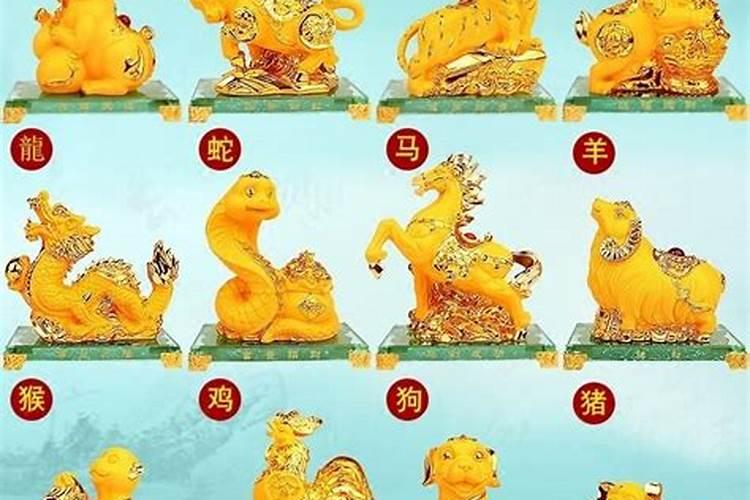 属龙的风水招财摆件 属龙的家里不能摆什么？