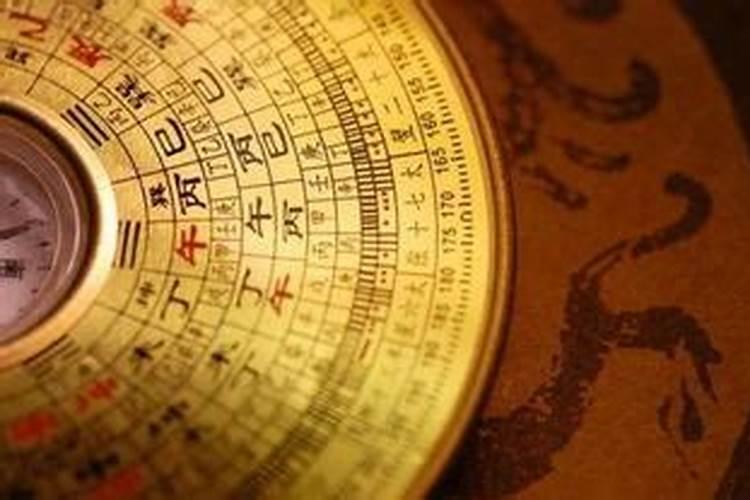 松树适合放办公室吗