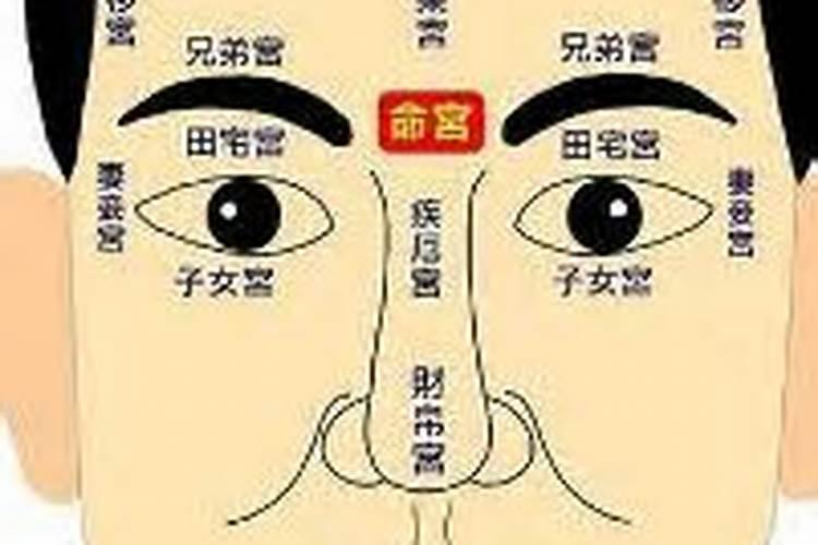 田宅宫——宫职含义解读