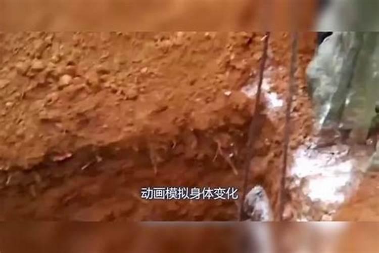 父亲去世不到一年,骨灰什么日子入土合适？