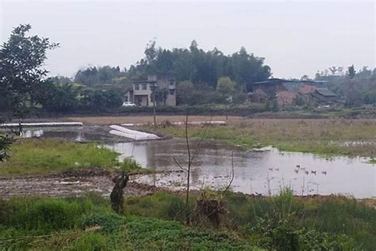 临沂本地风水大师排名前10的都有谁？临沂风水大师哪个更厉害？