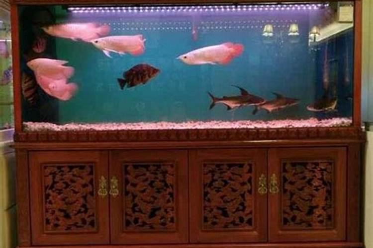 入户放鱼缸风水上好不好 会有影响吗