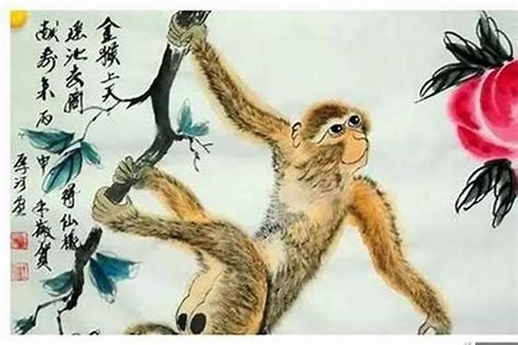 属猴家中挂什么画最旺