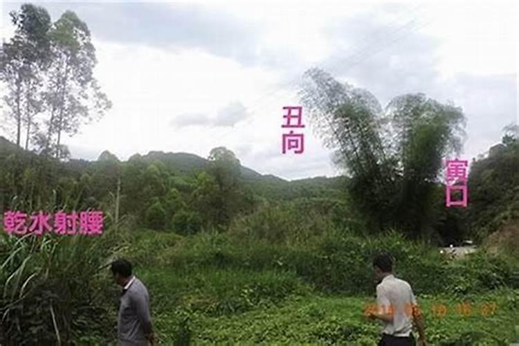 镇巴县旅游景点有哪些