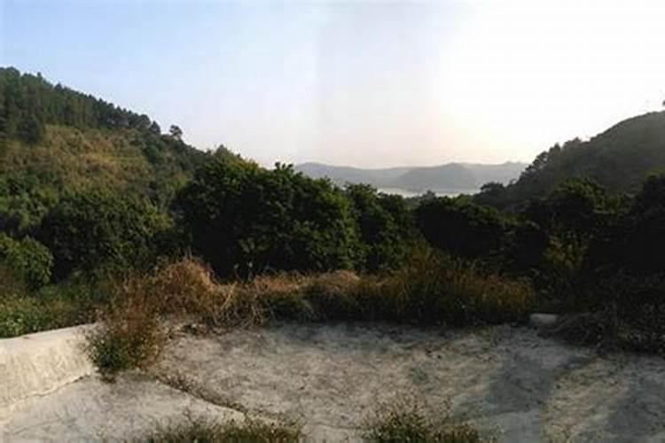 奉化十大网红景点