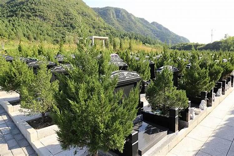 别墅围墙款式有哪几种介绍