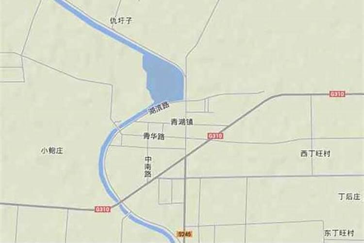 院里种什么树最好最旺风水