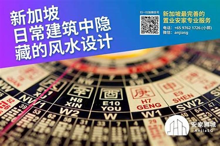 家宅养什么乌龟最旺财