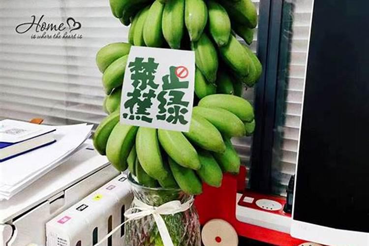 香蕉的风水寓意和摆放