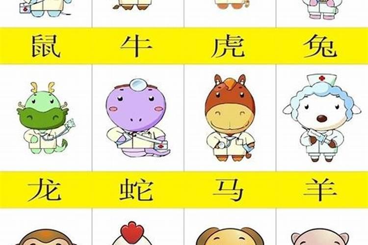 风水指导,这种属相的人脑子聪慧工作易取得成功