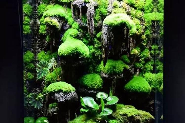水缸有什么风水作用吗