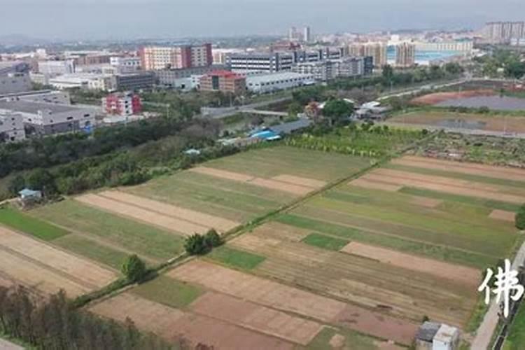 农村灶门宜朝哪个方向最好