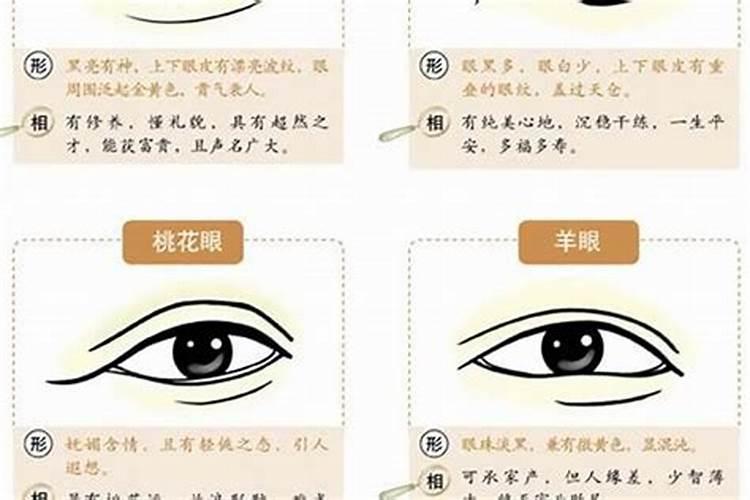 风水应期的书籍有哪些