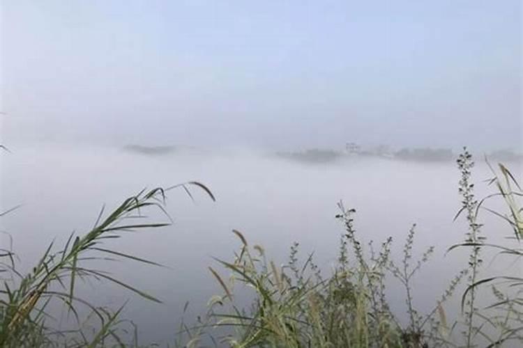 雾在风水学中的概念是什么？？？