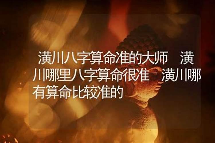 女贞树种家里风水好吗？金叶女贞家里能种吗