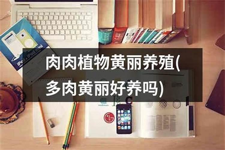 风水大师,小高层北面靠路好吗？