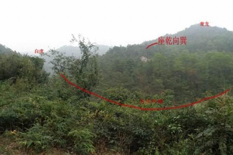 什么风水位旺财运最旺女人