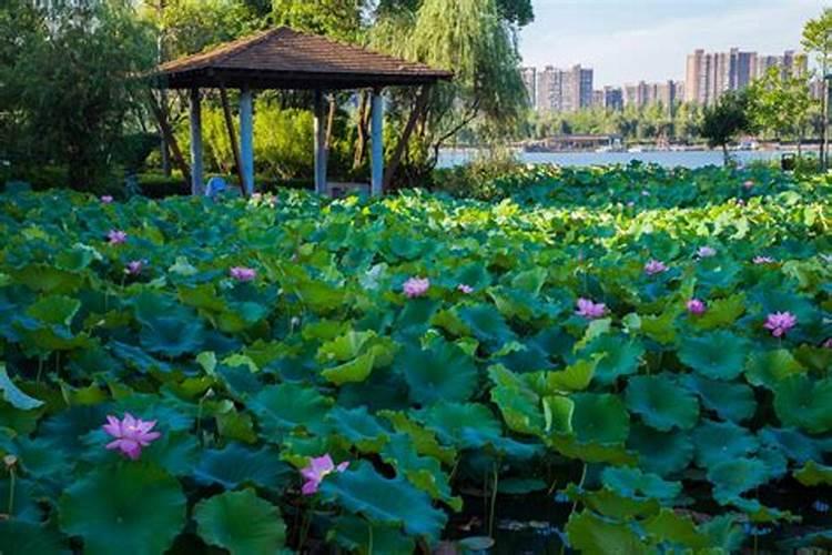 济南大魏明都什么时间交房定到5月30号交房是否能交