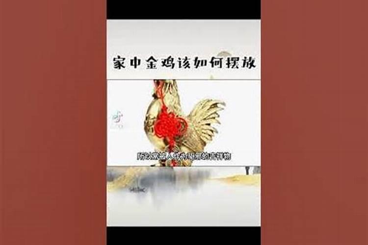 谁有关于龙的介绍