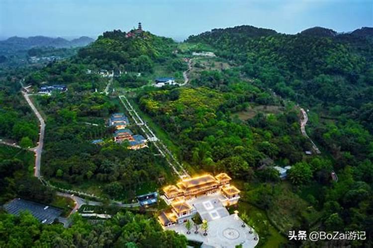 办公室养鱼风水有什么讲究？