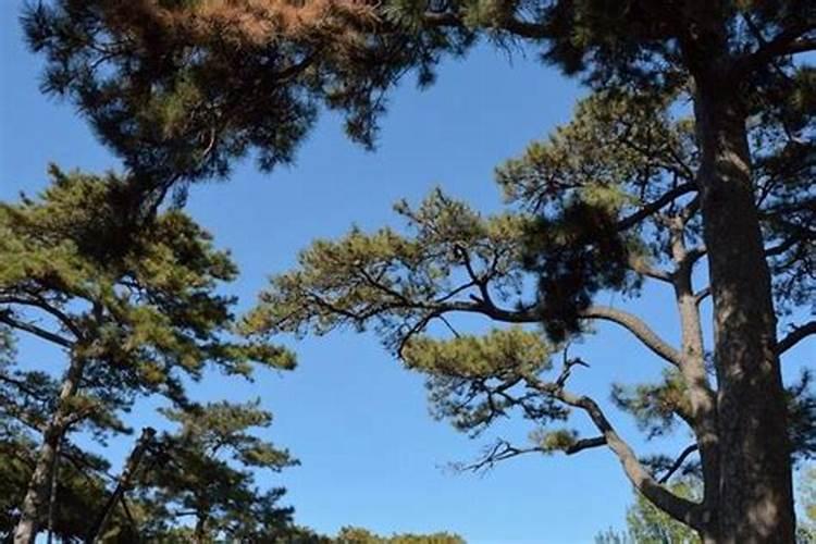 床围栏一边布松了怎么办