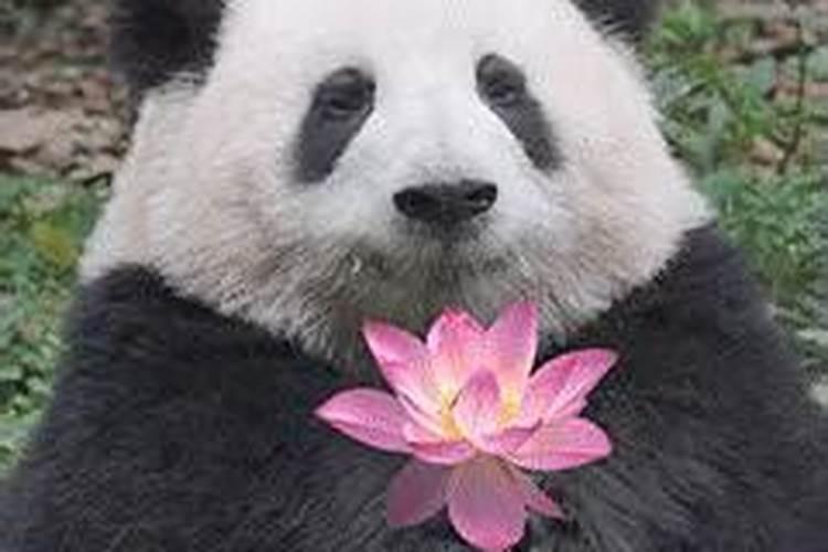 商铺风水招财方法有哪些？