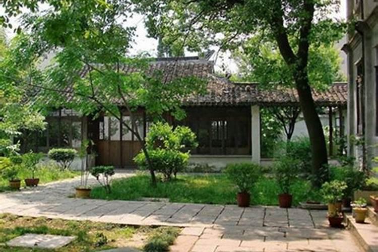 养招财鱼需要多大的鱼缸,用什么鱼缸好