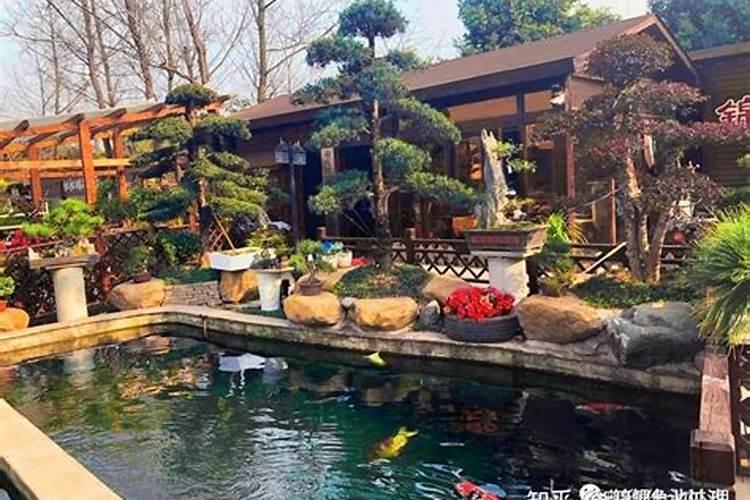 家庭鱼池在风水上有什么说法