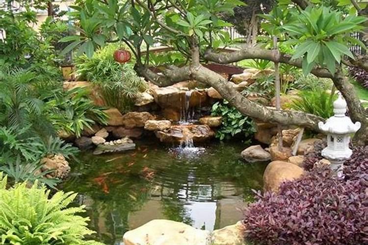 院子鱼池位置风水