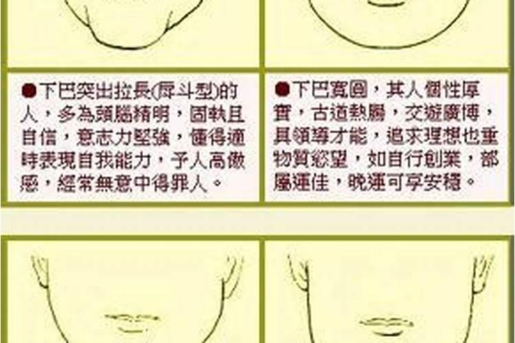风水学下巴是什么意思