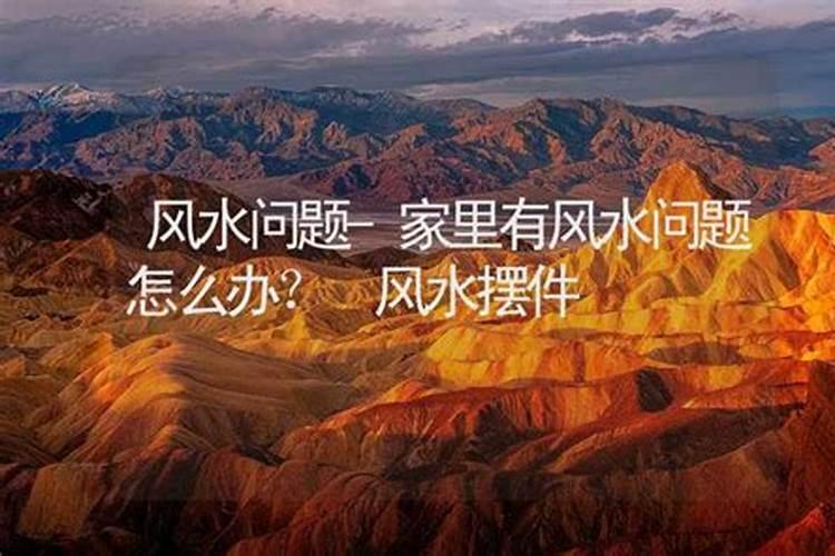 耳濡目染打一动物生肖
