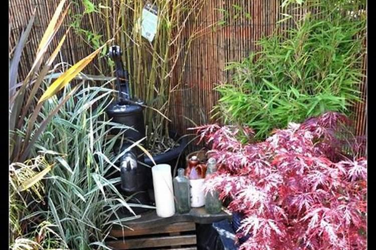 最流行的原木色橱柜搭配 简约不简单