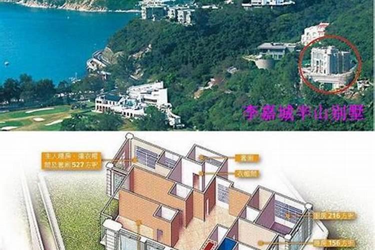 养鸡风险大吗？