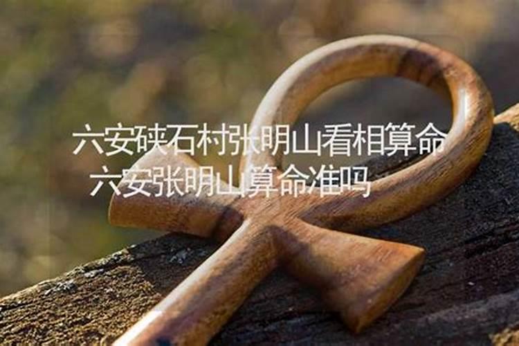 风水师 佛鸽 真相