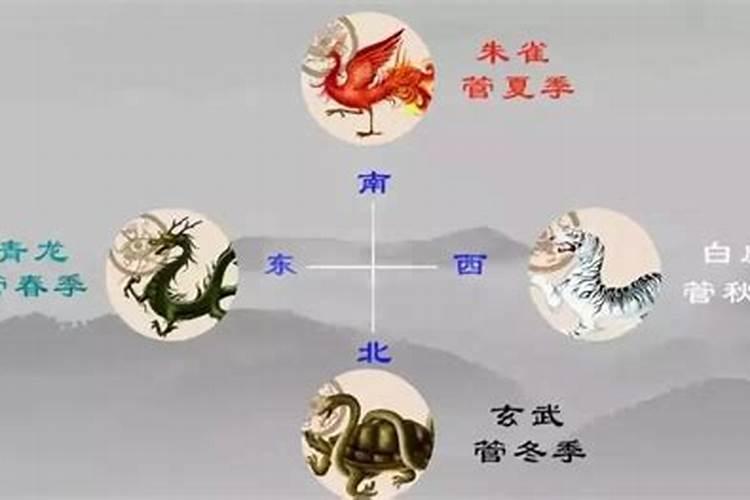 如何补青龙风水