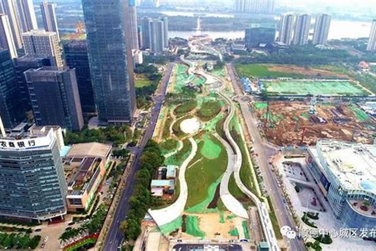 “家里有了梧桐树,不愁招不来金凤凰”,有什么历史典故？
