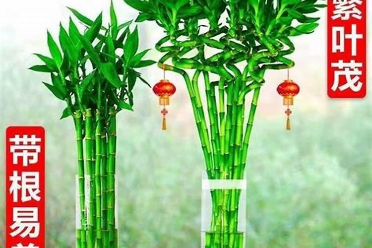 惠东门口挂灯是什么意思