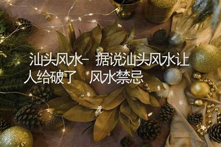 汕头市算命一条街在什么路上？