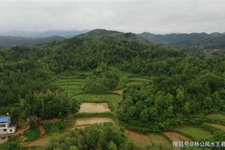 中国最厉害的易经大师