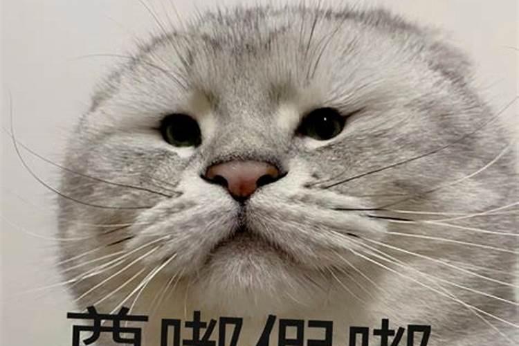 客厅在什么方位风水好