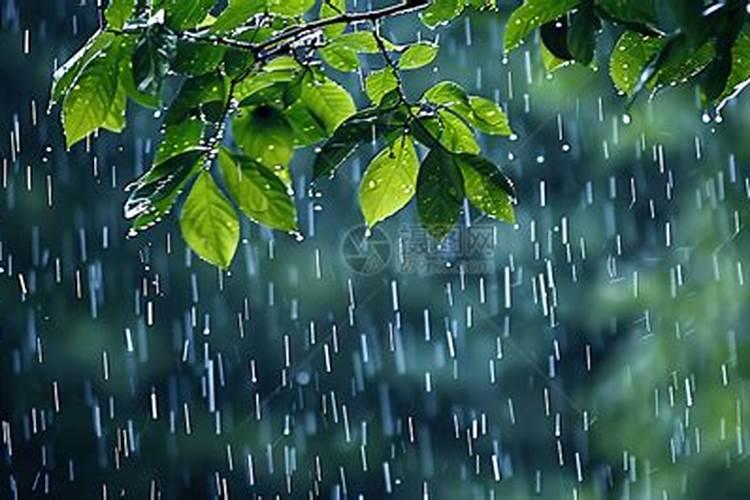 风水讲看房时下雨