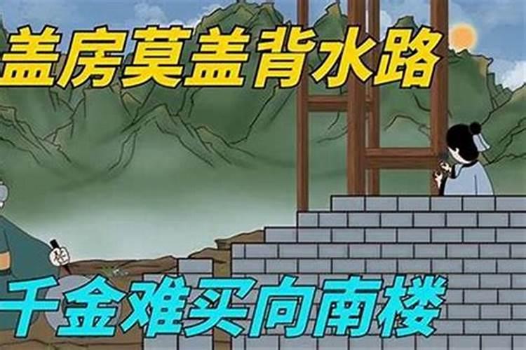 青龙仙是什么意思？