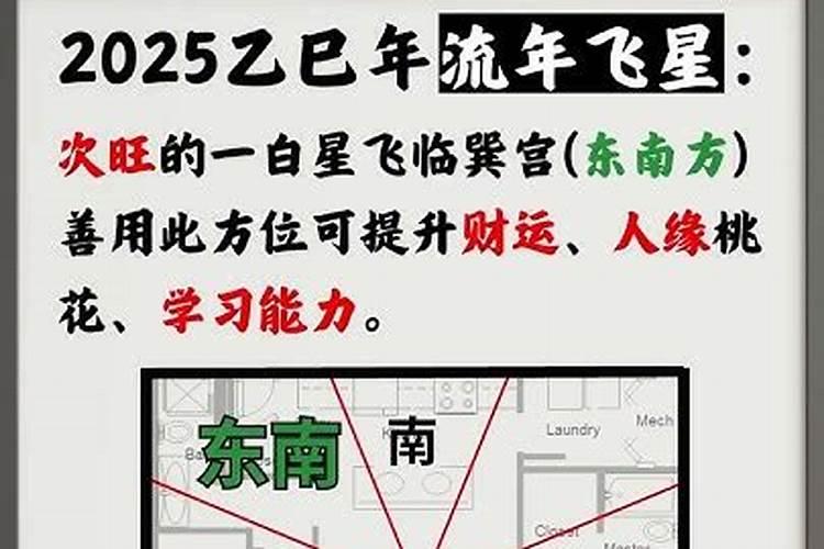 中国最权威风水大师张良